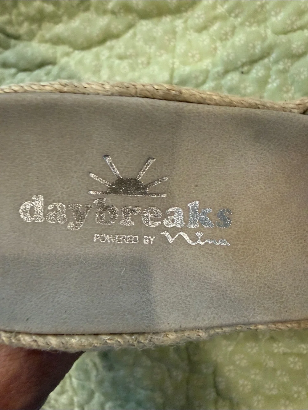 Silver Espadrille Wedge Slide